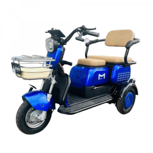 Электротрицикл Maikaolin MEINAID S 450 (Синий)